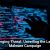Cloud Computing in Business Scalability